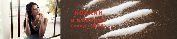 шишки Балабаново