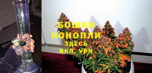 шишки Балабаново