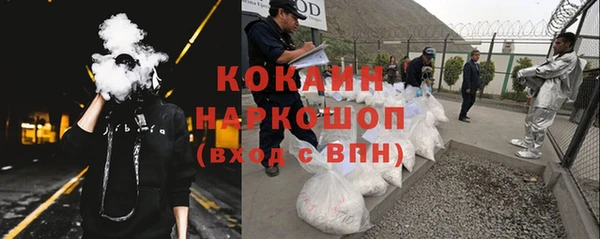 шишки Балабаново